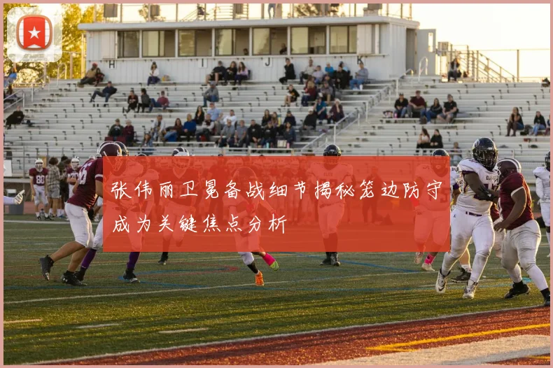 张伟丽卫冕备战细节揭秘笼边防守成为关键焦点分析